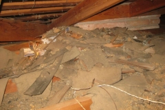 property-damaged-by-rats-4